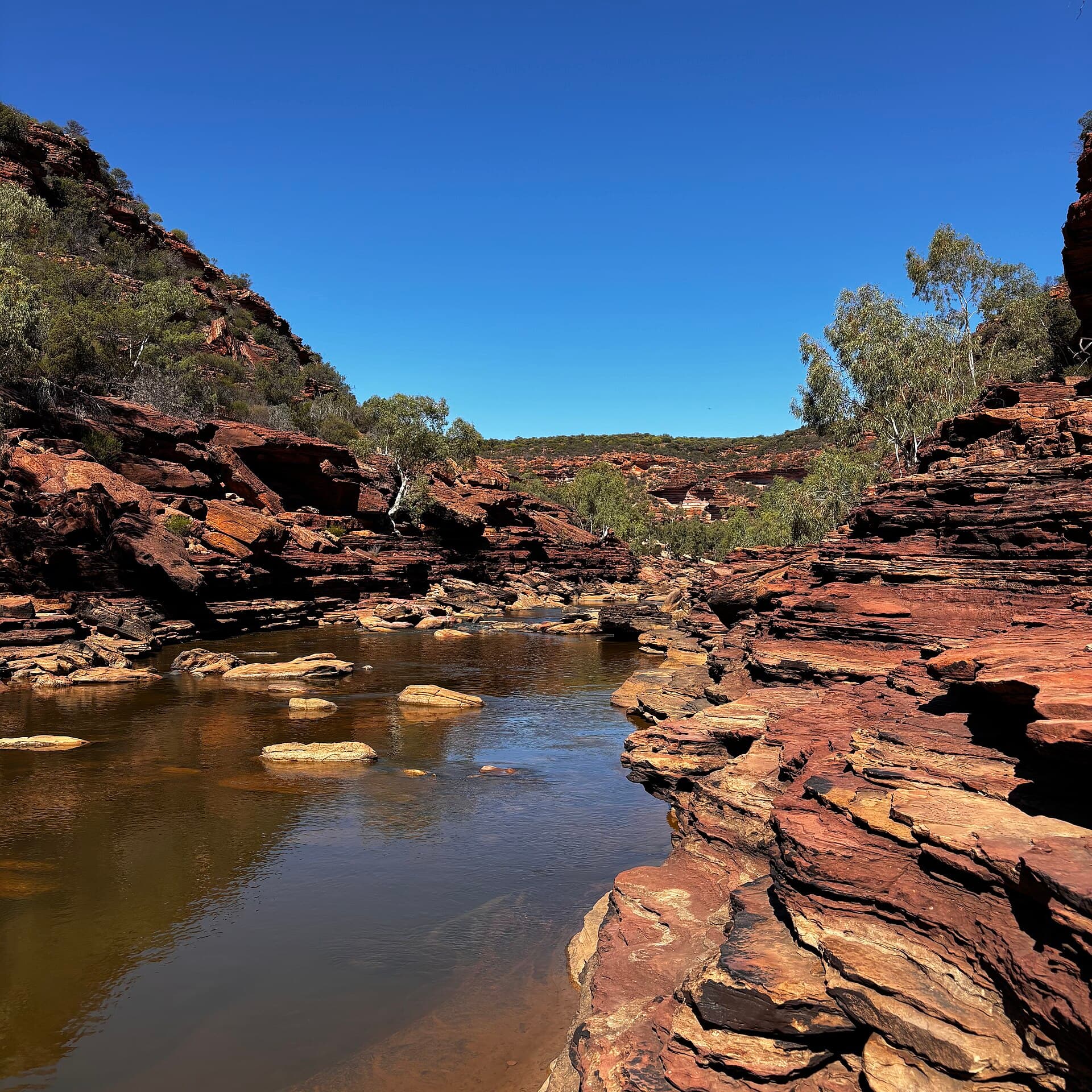 The tight bend of the Murchison River at Z-Bend